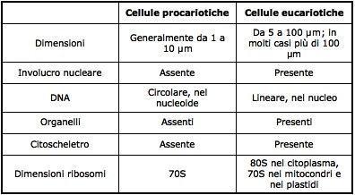 Gli organismi viventi vengono suddivisi in procarioti ed eucarioti.