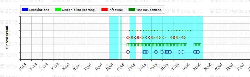 Grafico 3: Analisi DSS (Modello Vite.net ) Peronospora - infezioni secondarie [Plasmopara viticola (Berk. & M.A. Curtis - Berl. & De Toni, 1888)].