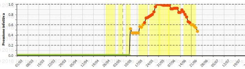 I grafici 4 e 5 indicano rispettivamente l andamento delle infezioni ascosporiche (primarie) e conidiche (secondarie) di Oidio, passate e