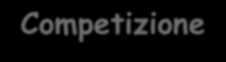 La competizione nei processi evolutivi Nell evoluzione e nello sviluppo degli ecosistemi, le interazioni negative sono ridotte al minimo mentre aumentano quelle positive che incrementano la