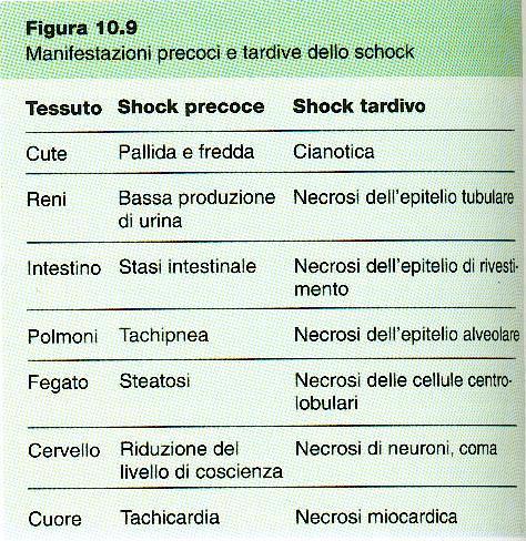 Gli effetti principali sui tessuti sono: - riduzione dell apporto di ossigeno - diminuzione della clearance