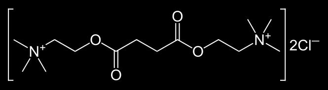 BLOCCANTI DEPOLARIZZANTI Succinilcolina (o suxametonio) Non metabolizzato rapidamente dall acetilcolinesterasi ma idrolizzato da