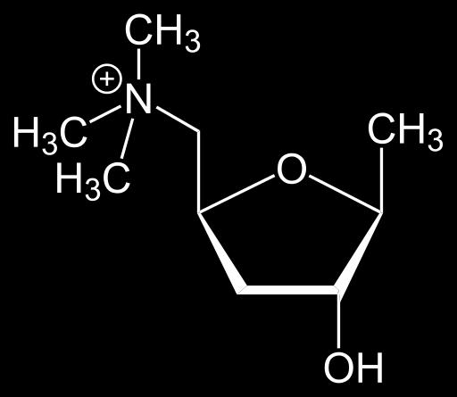 secrezione ghiandolare (sudorazione, lacrimazione, salivazione, secrezione gastrica e bronchiale) - aumentata motilità gastro-enterica (dolore,