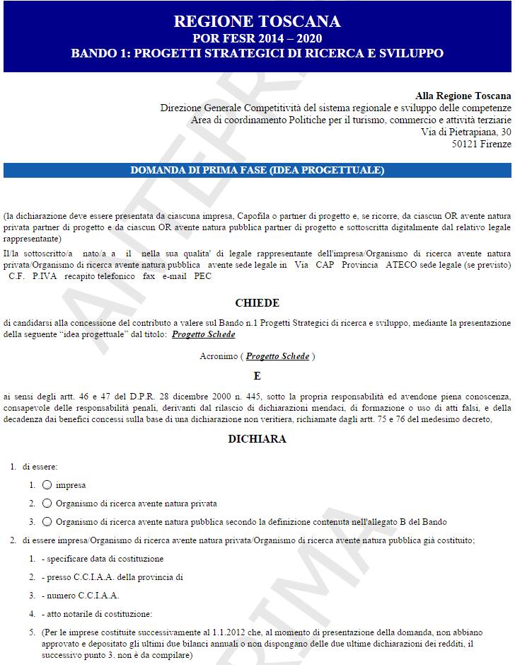 L utente capofila Anteprima domanda L utente partner possibilità durante la compilazione della domanda di effettuare una anteprima a video della domanda (premendo il pulsante Controlla anteprima e