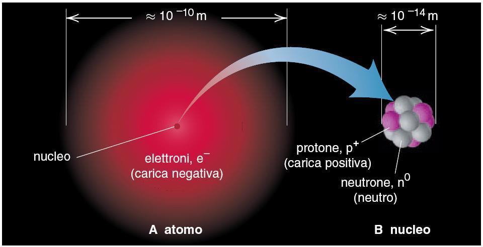 La visione moderna della struttura atomica L atomo è costituito da tre particelle subatomiche: protone, elettrone e neutrone Carica dell elettrone: Carica del protone: - 1,602 10-19 C + 1,602 10-19 C