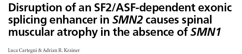SMN (Survival of Motor Neuron) La SMA è un disordine neurodegenerativo pediatrico