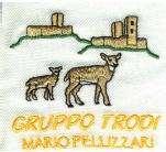 Gruppo