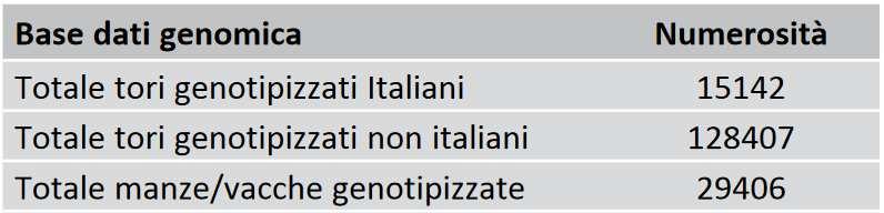 60000 50000 Numero di genotipi in