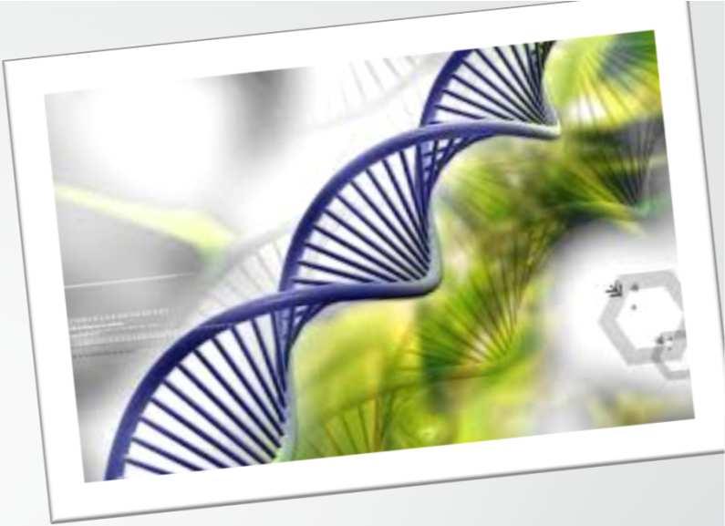 Analisi Genotipiche Scelta aziende convenzionate Anarb fornisce Analisi e valutazione genomica L allevatore fornisce Dati innovativi Genealogie Tutte le inseminazioni