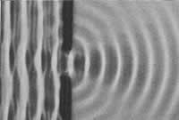La diffrazione - guida La diffrazione è una caratteristica generale dei fenomeni ondulatori che si manifesta ogni volta che una porzione di un fronte d onda, sia esso di suono, di onde di materia o