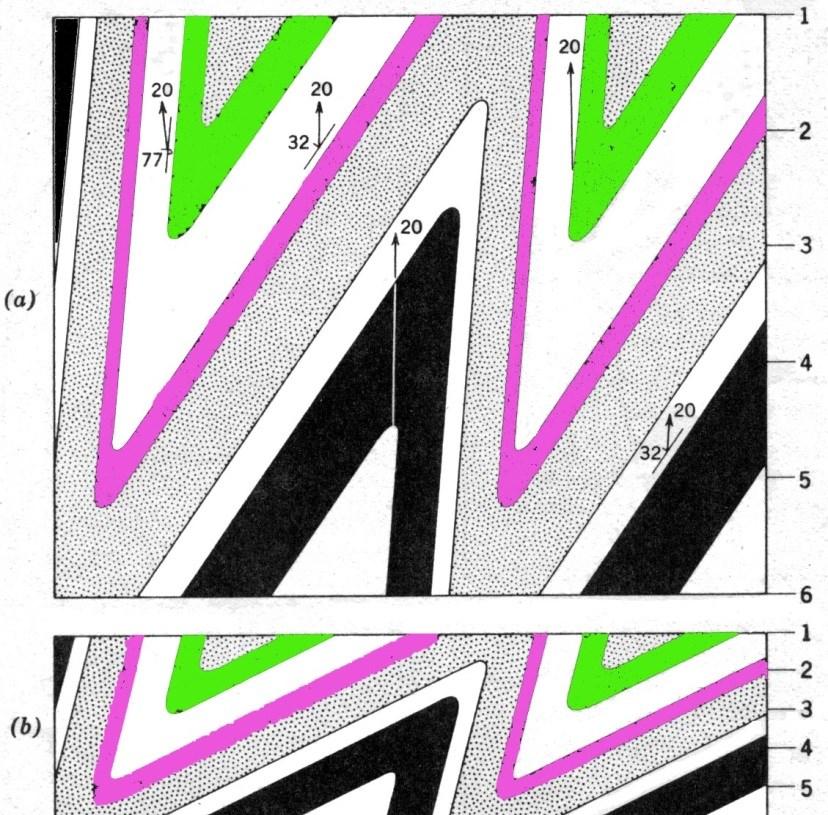 Analisi cartografica delle pieghe Quando noi effettuiamo una sezione geologica in realtà eseguiamo una sezione verticale che