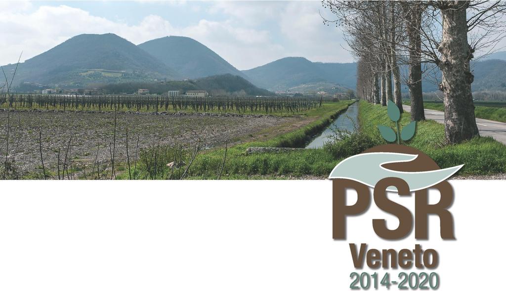 Il PSR Veneto e gli Enti Locali: il quadro di riferimento e gli strumenti di sostegno Franco