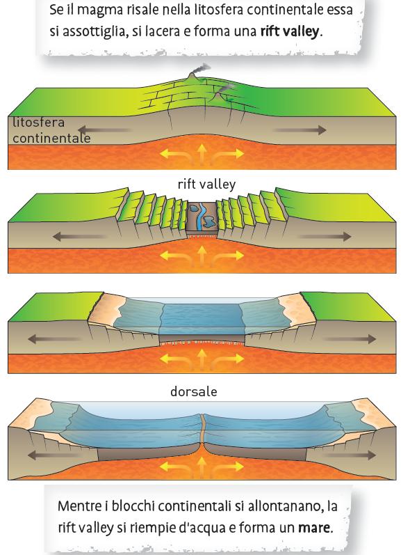 14. I margini divergenti o costruttivi La spinta laterale generata dalle correnti convettive e la risalita in superficie di magma provocano uno «stiramento» della litosfera e un progressivo