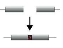 Nelle cellule il riparo delle DSB generate dalle nucleasi viene effettuatp mediante: 1.