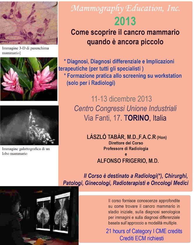 Prof. Tabar Corso congiunto 2013 Corso Multidisciplinare Italiano Corso per Radiologi su workstation Torino, 11-13 dicembre