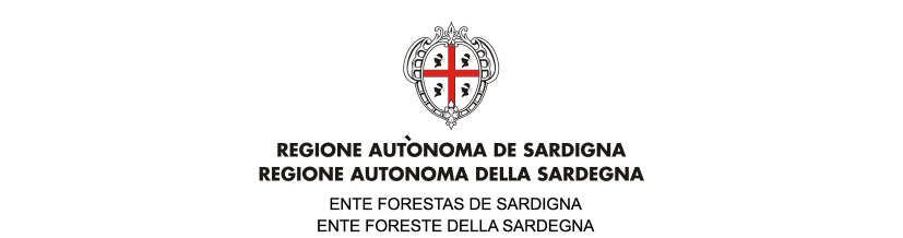 il DL n. 95/2012, convertito con L. n. 135/2012, il cui art. 1 stabilisce la nullità dei contratti stipulati in violazione dell articolo 26, comma 3 della legge 23 dicembre 1999, n.