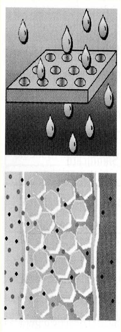 PROTEZIONE DEGLI ARTI SUPERIORI Il tempo di permeazioneè il tempo che impiega il contaminante (a livello molecolare) ad attraversare il materiale del guanto e dipende dal tipo di sostanza, dalla sua