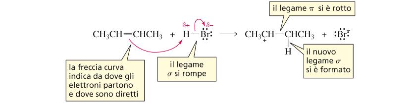 Meccanismo della reazione di un alchene + Br Si tracciano frecce curve per mostrare come si spostano gli elettroni quando si formano nuovi legami covalenti e quando quelli preesistenti si rompono;