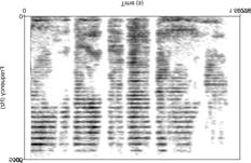dello spettro Risintesi a partire dal sonogramma di audio digitale Risposta ampiezza vs