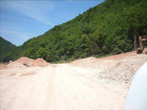 costituiscono un gruppo di 12 piante (elemento arboreo n.