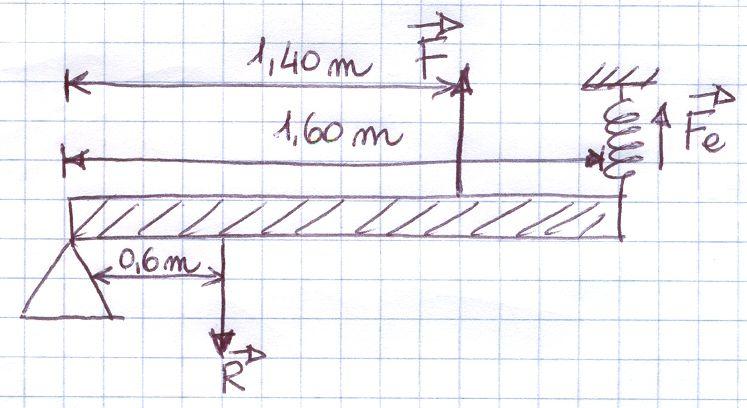 Una leva di secondo genere lunga 1,60 m è collegata all'estremo libero (cioè uello senza fulcro) con una molla che solleva l'estremo verso l'alto allungandosi rispetto alla posizione di euilibrio di