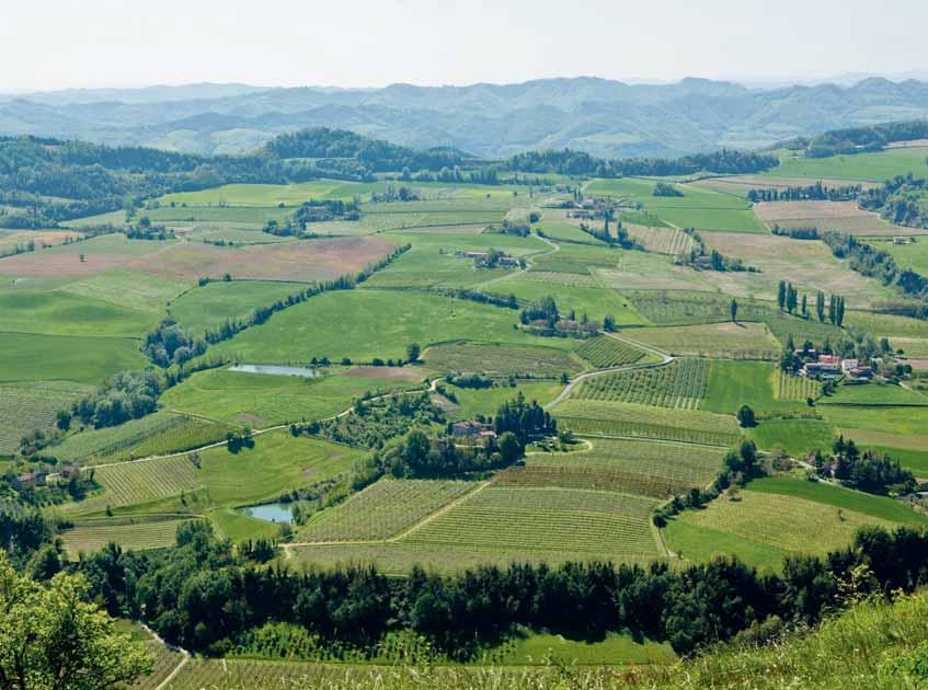 Psr news PROGRAMMAZIONE 2014-2020 Sviluppo rurale: stanziati oltre 600 milioni Caselli Nirmal A un anno e mezzo dall avvio già a disposizione delle imprese agricole e agroindustriali oltre la metà