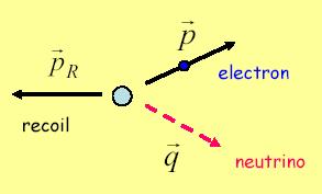 15 rat di transizion S tot = 0, 1 Pr il nutron abbiamo poichè ci sono tr modi divrsi con cui i lptoni possono ssr mssi con S tot = 1 (m s = 1, 0, -1) mntr uno solo con S tot = 0.
