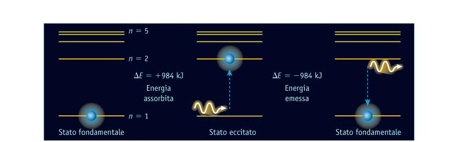 Le transizioni energetiche dell atomo di Bohr Un elettrone può passare da un livello energetico più alto a uno più basso. In questo caso perde energia sotto forma di radiazione.