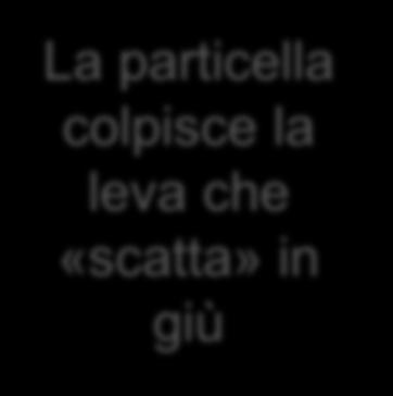 praticamente) Dopo un ora, il gatto è vivo o è morto?