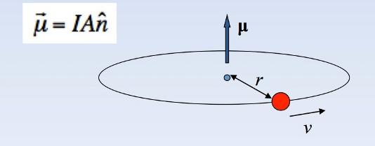 Si può definire allora un momento magnetico orbitale =IA (con A vettore perpendicolare alla spira stessa) L intensità del momento magnetico