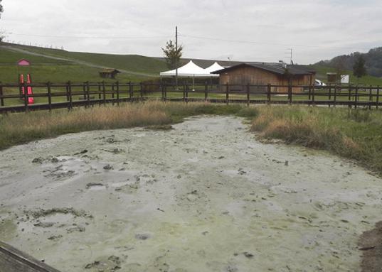 La zona dista dal capoluogo una trentina di chilometri e si estende a cavaliere delle valli del torrente Masdone e del torrente Termina, appartenenti al bacino idrografico del torrente Enza,