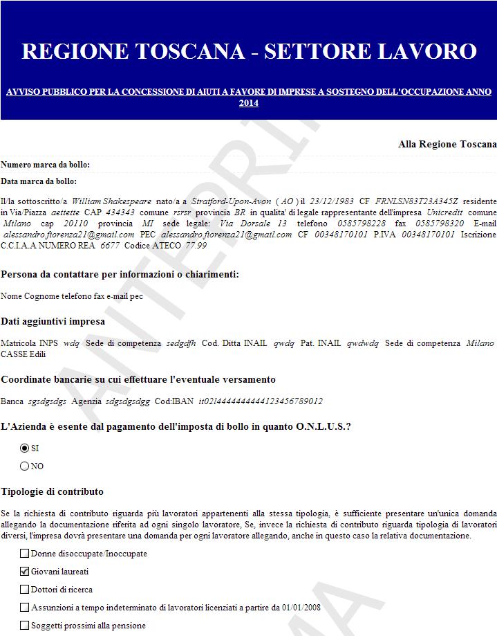 L utente presentatore Anteprima domanda L utente ha la possibilità durante la compilazione della domanda di effettuare una verifica dei dati della sua domanda premendo il pulsante Controlla anteprima.