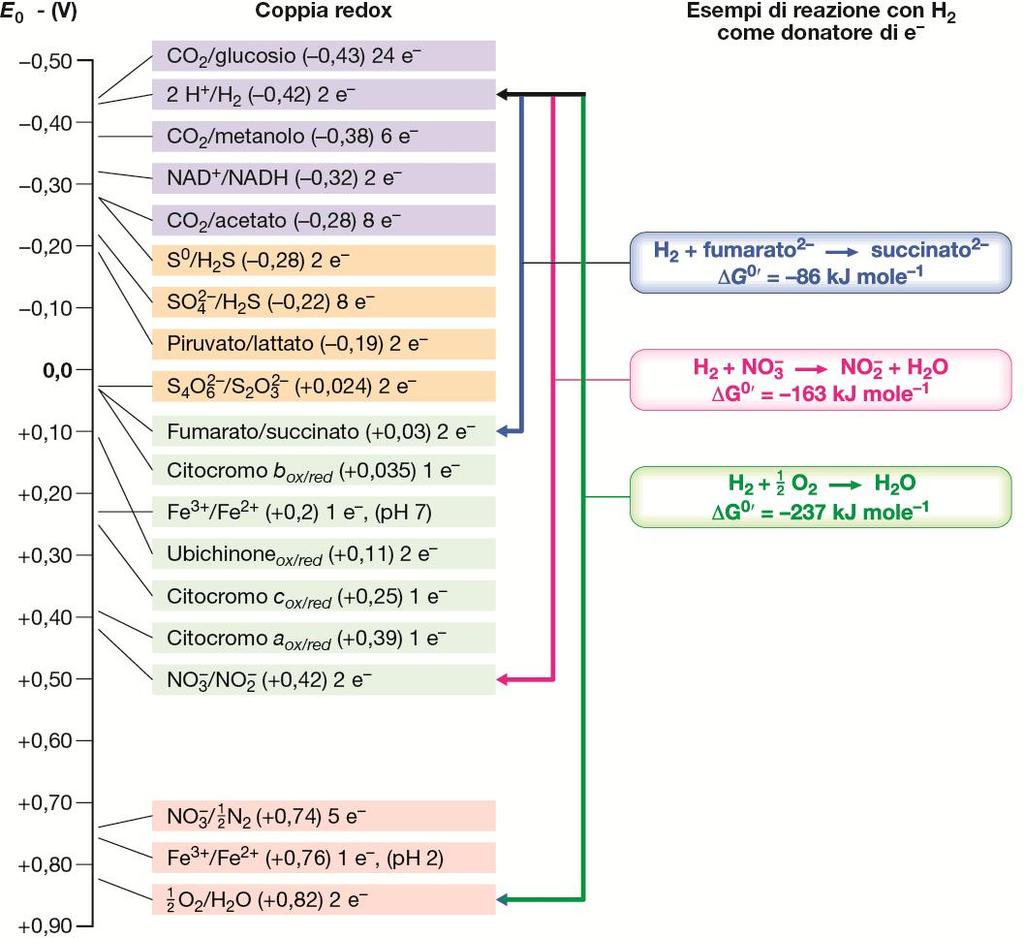 Reazioni di ossido-riduzione (potenziali