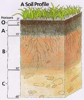 Fase2-profondità di campionamento Questa fase è servita a valutare l andamento della contaminazione dei terreni lungo la profondità: a) 0-10 cm b) 10-20 cm c) 20-30 cm d) 30-40 cm e) 40-60 cm f)