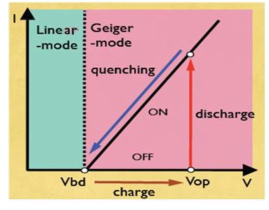 Geiger Mode APD=GM-APD Non è possibile raggiungere la sensibilità di singolo fotone con un guadagno inferiore a qualche migliaio (è necessario un segnale di diverse migliaia per poterlo rilevare con