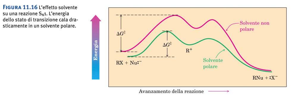 L effetto del