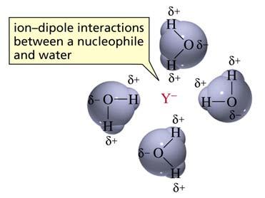 L effetto solvente sulla nucleofilicità Come può un solvente protico rendere una base più forte un nucleofilo più debole?