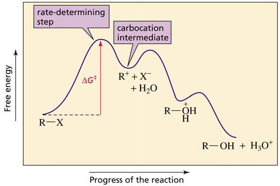 Coordinata di reazione per una reazione di sostituzione S N 1 La reazione dell intermedio carbocationico porta alla formazione di due prodotti stereoisomerici L effetto del gruppo uscente sulla S N 1