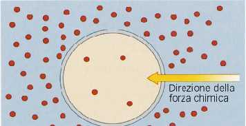 ionici da una forza elettro-chimica