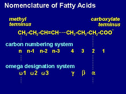 Nomenclatura acidi grassi