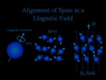 Cosa accade ai singoli nuclei I nuclei in condizioni normali si muovono caoticamente per effetto del moto termico.