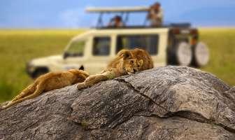 Trattamento: pensione completa. Camping 2. Giorno // Lake Manyara N.P.