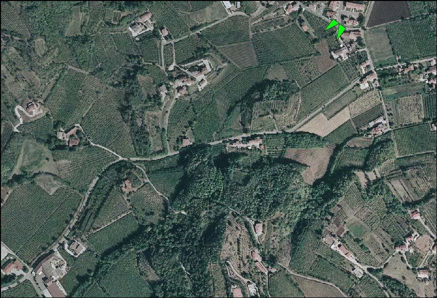 Numero Cono: 7 Comune: Zermeghedo Localizzazione: via Mieli Denominazione: Verso i colli di Montebello