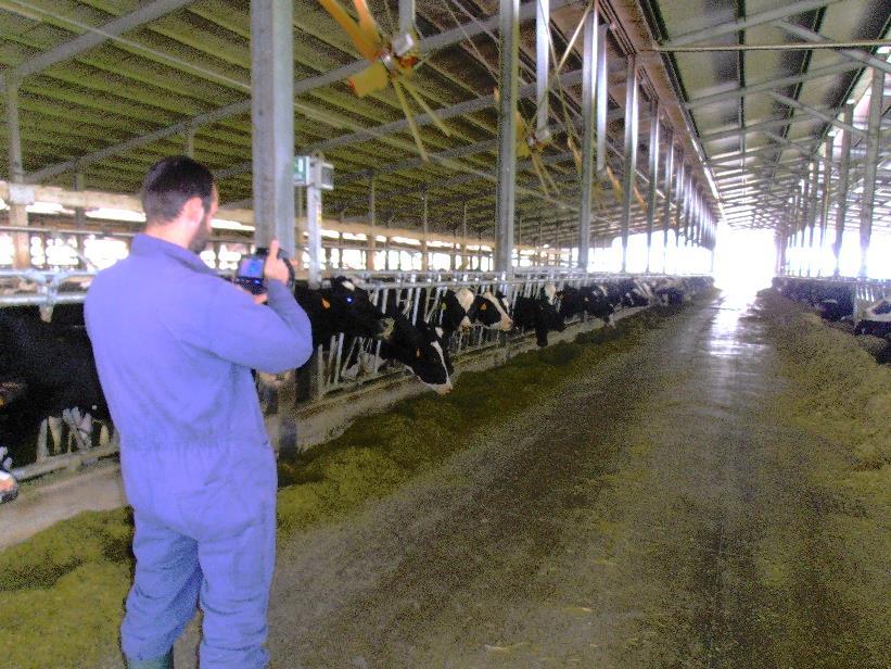 LaStaBen Analisi e interventi migliorativi degli aspetti strutturali e gestionali della Stalla per il Benessere della bovina da latte Dibattito Stalle da