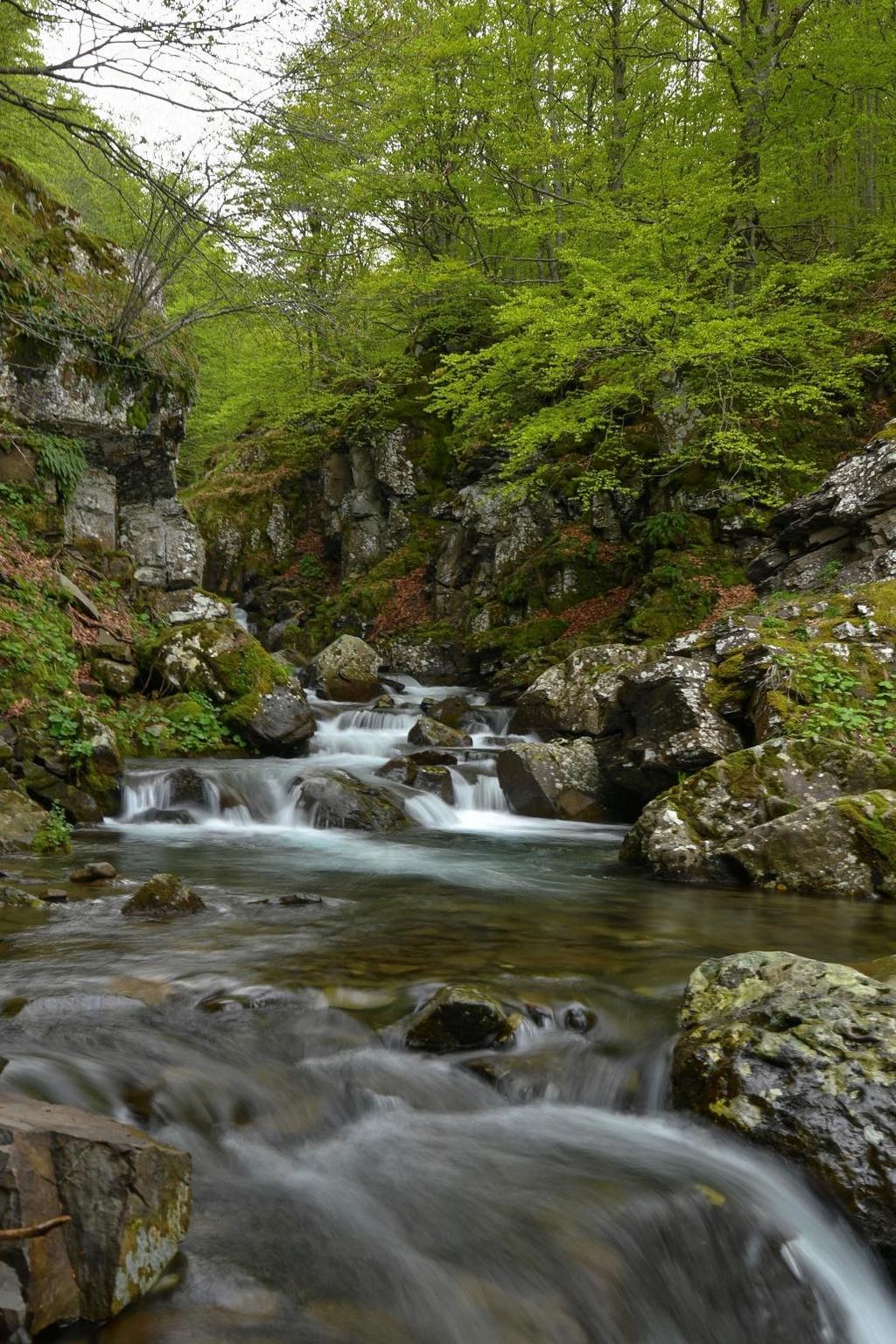 Un percorso Medio-Facile ci porterà alle Cascate dove potremo ammirare e fotografare 7 salti d acqua.