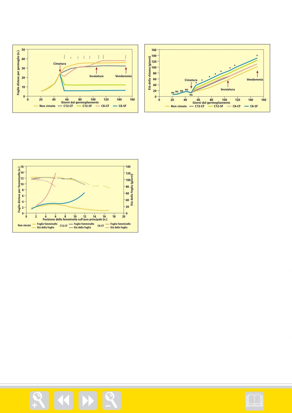 Grafico 1 - Dinamica stagionale del numero totale di foglie distese per germoglio (principali + femminelle) nelle diverse tesi Grafico 2 - Progressione stagionale dell età della chioma nei vari