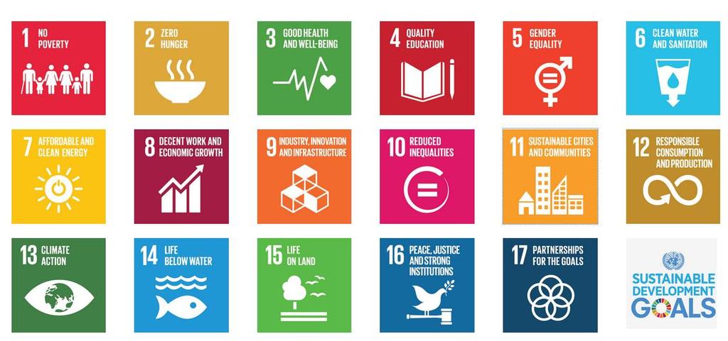 L importanza della misurazione La Comunità deve anche considerare gli obiettivi di Sviluppo Sostenibile delle Nazioni Unite, in particolare il Goal n.