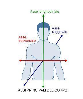 il corpo in una parte anteriore e una posteriore; piano orizzontale o trasverso: divide il corpo in una parte superiore e una inferiore.