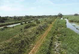 Entrambe le zone umide di acqua dolce sono caratterizzate dall alternanza di diversi microambienti e formazioni vegetali in rapporto alla profondità e alle variazioni stagionali dei livelli idrici.