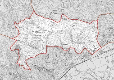 ADEGUAMENTO DEL PIANO TERRITORIALE PAESAGGISTICO DELL EMILIA-ROMAGNA AL CODICE DEI BENI CULTULI E DEL PAESAGGIO IMMOBILI ED AREE DI NOTEVOLE INTERESSE PUBBLICO [ARTICOLO136] identificativo bene: Zona